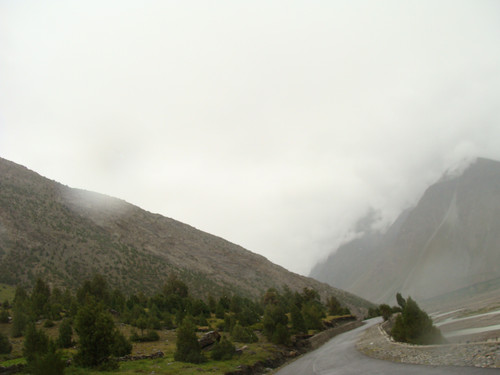 DSC00010.jpg