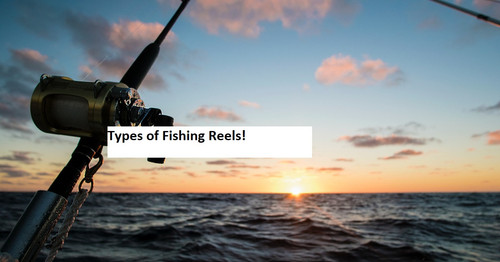 Types of fishing reels.jpg