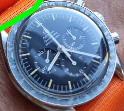 Unknown speedy.jpg