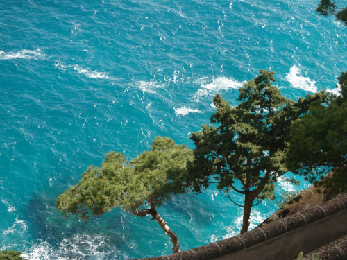 Italy rome capri 397.jpg