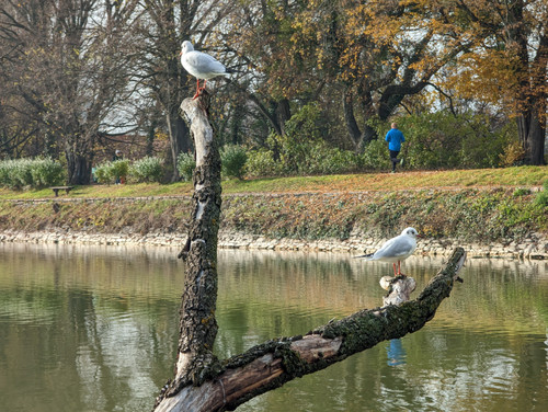 PXL 20221120 110358167.NIGHT.jpg