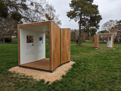 PXL 20221120 103243607.NIGHT.jpg