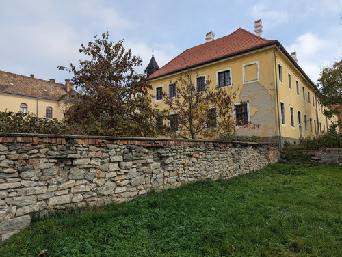 PXL 20221120 111353836.NIGHT.jpg