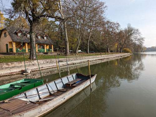 PXL 20221120 110133597.NIGHT.jpg