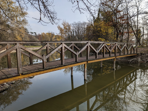 PXL 20221120 105907827.NIGHT.jpg