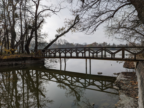 PXL 20221120 105830374.NIGHT.jpg