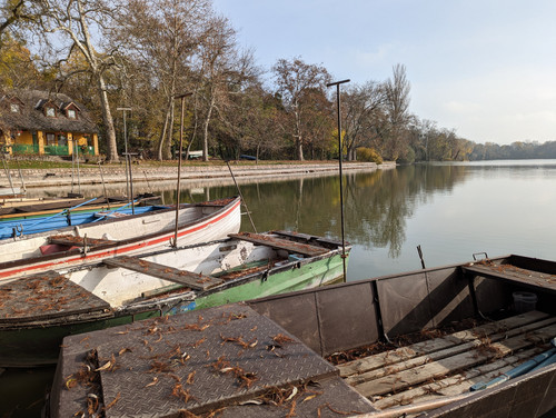 PXL 20221120 110212508.NIGHT.jpg