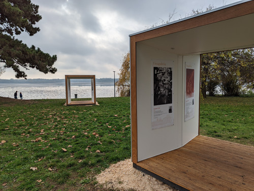 PXL 20221120 103326490.NIGHT.jpg