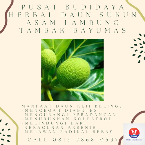 desain daun sukun 32.png