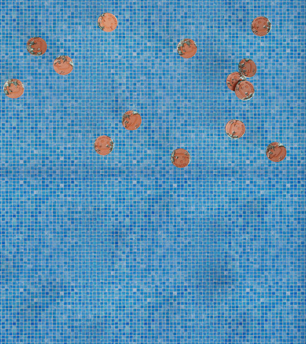 Login Penny Pool Long Web.jpg