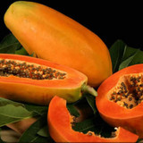 il 1588xN.2873494158 bzji