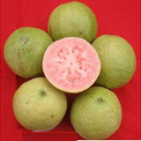 PUNJAB KIRAN