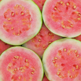 taiwan pink