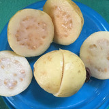 mexican cream