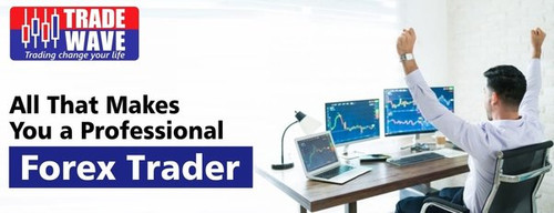 All That Makes You a Professional Forex Trader.jpg