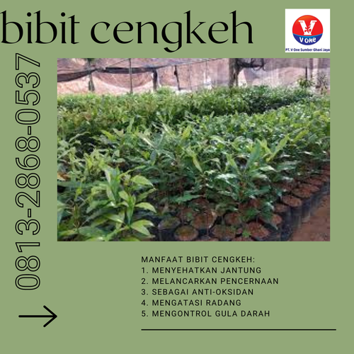 png 20221129 072515 0000.png