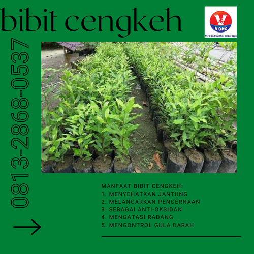 png 20221129 072315 0000.png