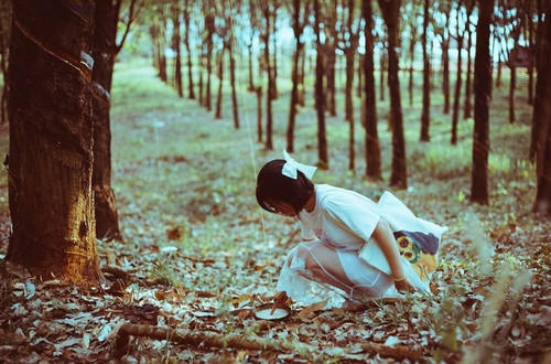 87bf6069158f4d6cb774e4a9f8a577bf 274325035 349497460372619 1535349313207714507 n 1.jpg