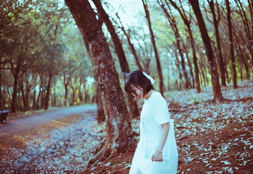 43ce8ef35d3a44a78762cb0af8038beb 274406860 357638339336501 6974994528403746227 n 1.jpg