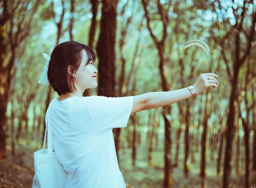 ab0dda911397482790bbbeb07175d17d 274373438 729790894668996 9110148450891707328 n 1.jpg