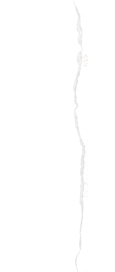 hG0hRn0S 2.png