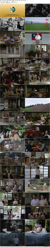 Red.Persimmon.1997.BluRay.1080p.AC3.x265.10bit BeiTai preview.jpg
