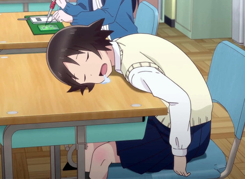 tanaka slep.jpg