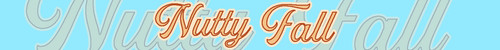 N F header2.jpg