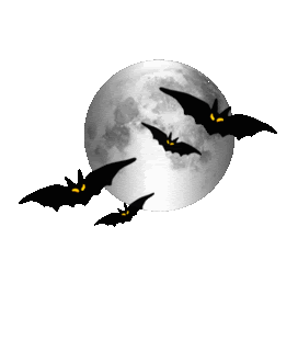 BD508361 E5A8 4720 A59F F3094EFF28C4.gif