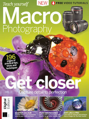Teach Yourself Macro Photography - 2022