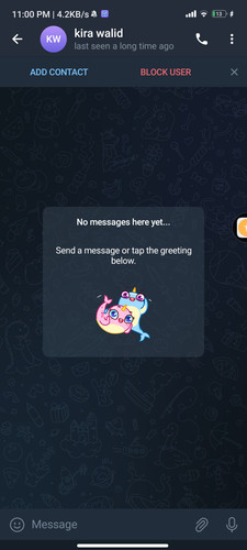 Screenshot 2023 07 16 23 00 20 483 org.telegram.messenger.jpg