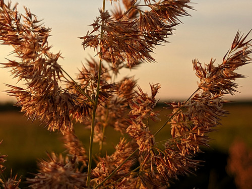 PXL 20230716 2.PORTRAIT