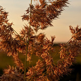 PXL 20230716 2.PORTRAIT