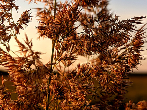 PXL 20230716 3.PORTRAIT