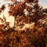 PXL 20230716 3.PORTRAIT