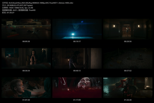 Evil.Dead.Rise.2023.BluRay.REMUX.1080p.AVC.TrueHD7.1.Atmos HDS.mkv.png