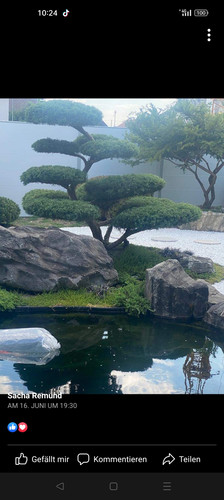 Screenshot 2023 07 11 10 24 29 61 a23b203fd3aafc6dcb84e438dda678b6.jpg