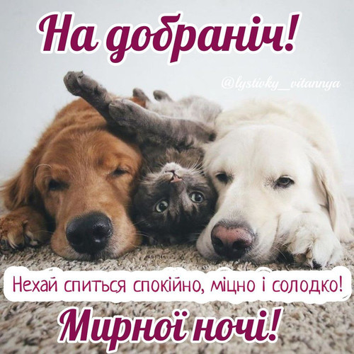 1689806604 286821095.jpg