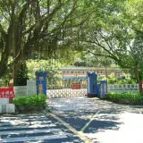 20100704 195