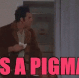 seinfeld pigman