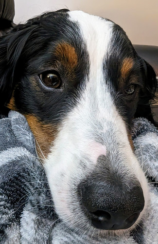 PXL 20230720 020645988~2