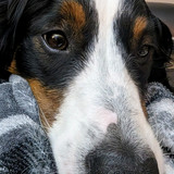 PXL 20230720 020645988~2