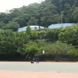 20080518 501 1