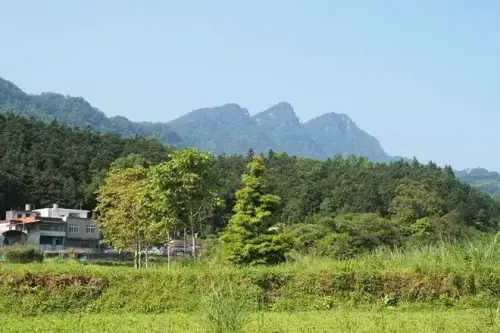 20080518 038.webp