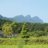 20080518 038