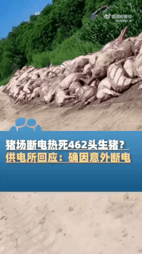 GIF 230713 195408.gif