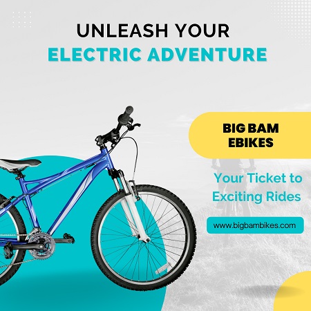 Bagi Bikes 34285 | Bigbambikes.com.jpg