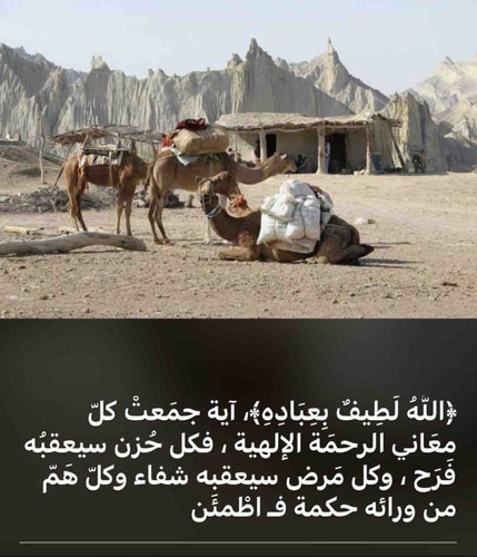 420E9560 3381 442B B86D 642ECC0D650D.jpg