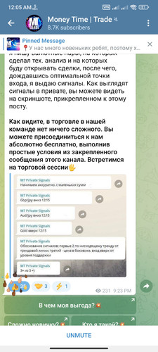 Screenshot 2023 07 16 00 05 10 557 org.telegram.messenger.jpg