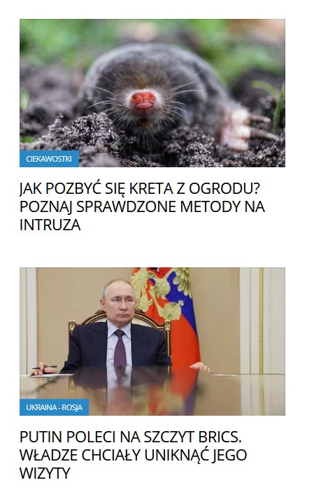 Bez tytułu.jpg
